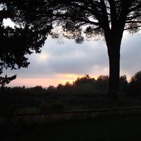 Ai Cipressi Bed and Breakfast Salemi Εξωτερικό φωτογραφία