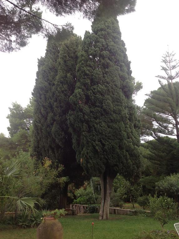 Ai Cipressi Bed and Breakfast Salemi Εξωτερικό φωτογραφία